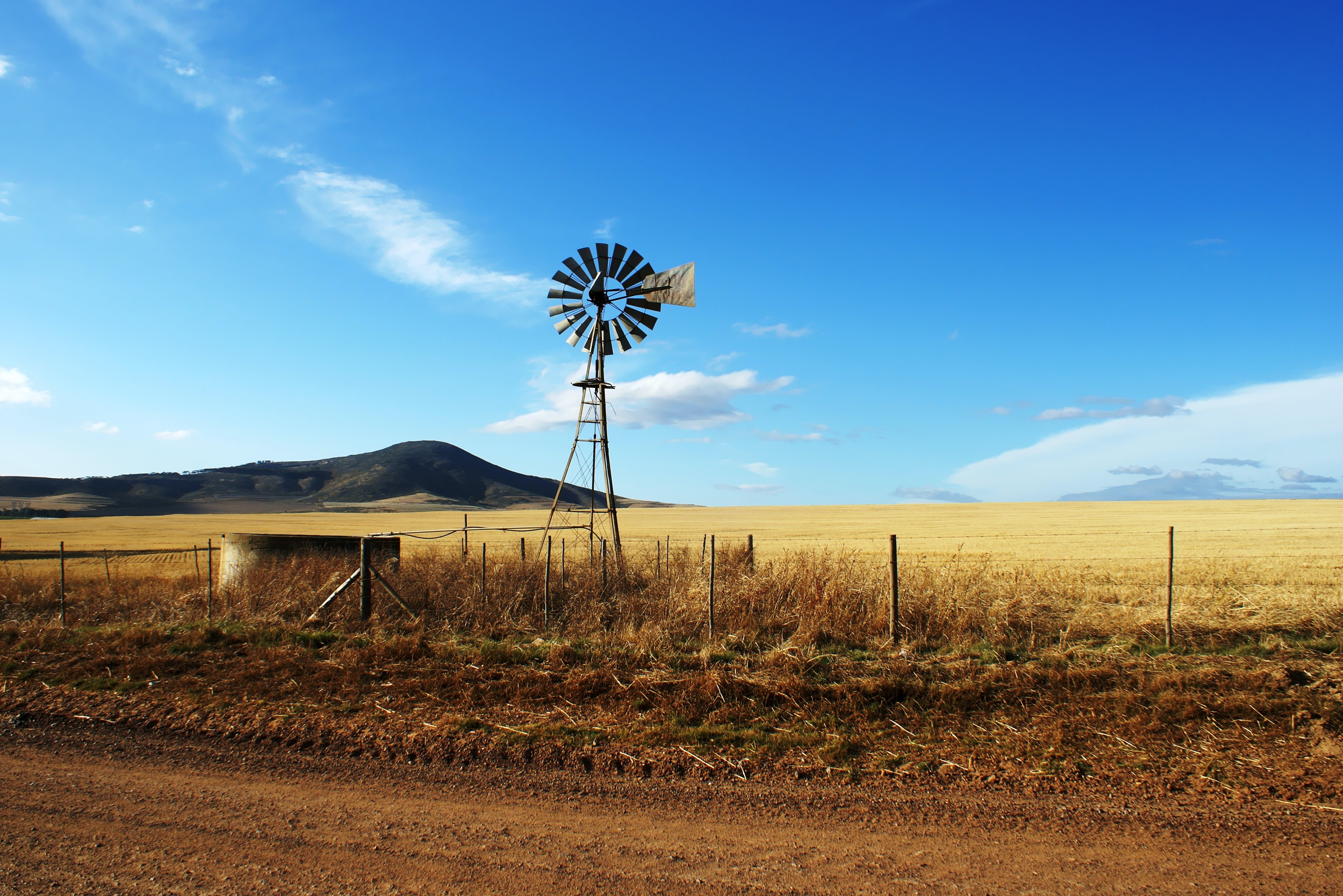 Windmill in a field