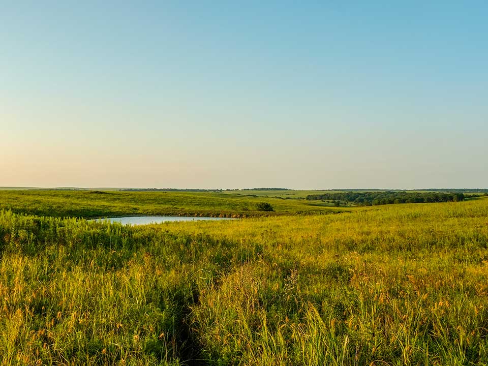 Open land and sky 